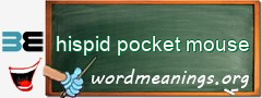 WordMeaning blackboard for hispid pocket mouse